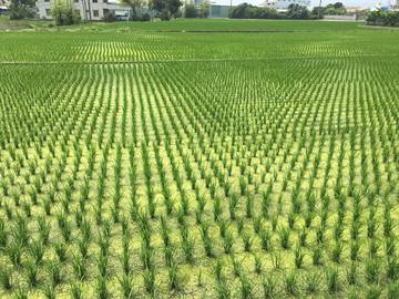住商雅潭-昌平路旁美地