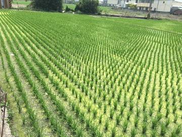 住商雅潭-昌平路旁美地