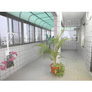 臺南*永康新天地5大露台美屋