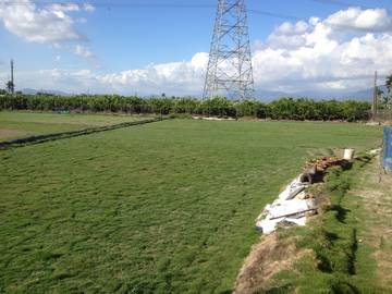 AF316 里港載興農地