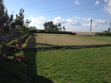 AF316 里港載興農地