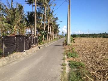 AF316 里港載興農地