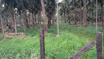 AF312 長治德榮農地