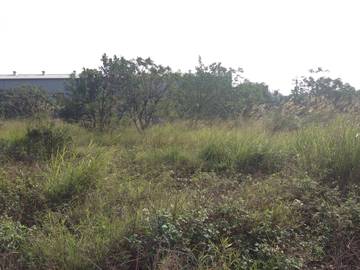 住商雅潭-東大三面路角地