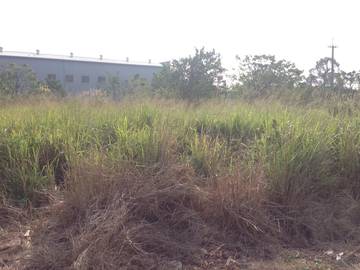 住商雅潭-東大三面路角地