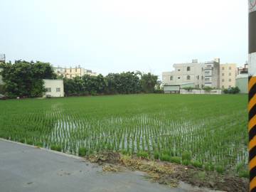 福興西勢村三分地