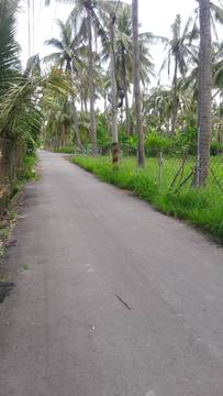 AF320 長興國小農地