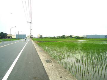 環河街旁千坪美田