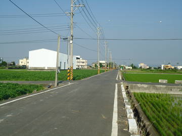 近福興外環雙面路田