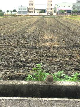 花壇農會都計田