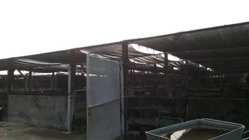 LS39359 鹽埔民意農地