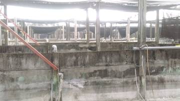 LS39359 鹽埔民意農地