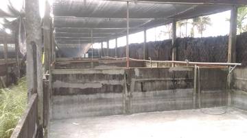 LS39359 鹽埔民意農地