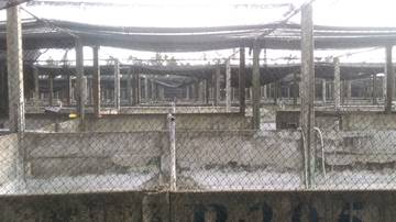 LS39359 鹽埔民意農地