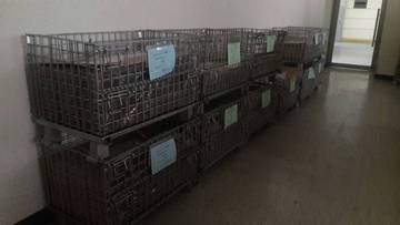 1207513_d79d67af869e53d272b6962243071867