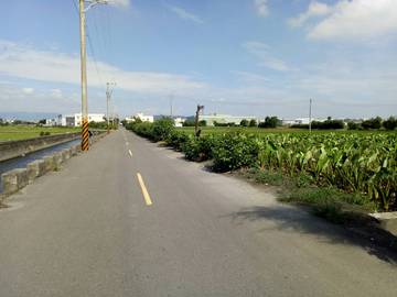 大安區_東西六路田地