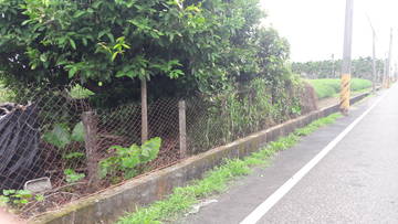 LS45010 潮州農舍