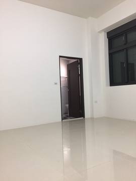 LS45381 三期豪華三車墅