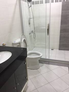 LS45381 三期豪華三車墅