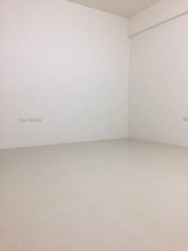 LS45381 三期豪華三車墅