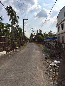 LS45460 佳佐農地