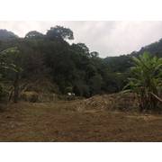 關西山泉休閒美地丙建+農地