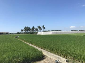 AF333 歸來路邊農地A