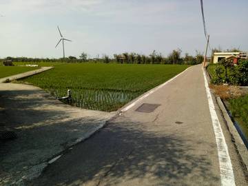 大安_南庄田地