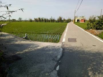 大安_南庄田地