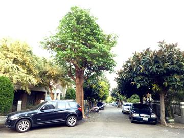 中科宏台別墅建地土地