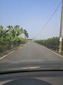 LS54562 鹽埔農地