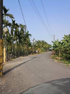 LS54562 鹽埔農地