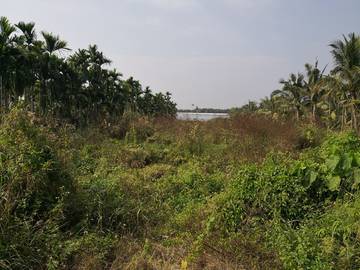 LS54562 鹽埔農地