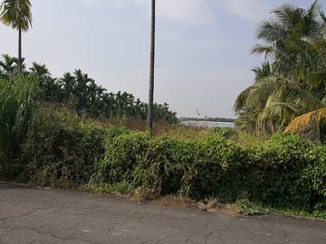 LS54562 鹽埔農地