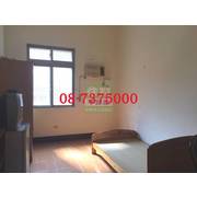 編號LS55147-商學院金雞母