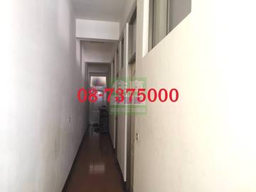 編號LS55147-商學院金雞母