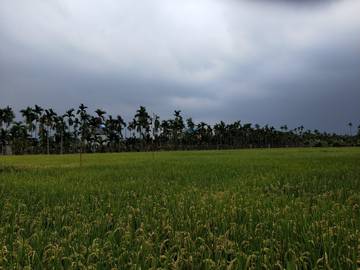 AF329 竹田農地AB