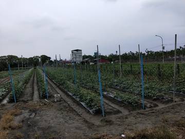 AF304 星河經濟農地