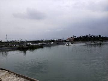 AF306 大湖經濟農地