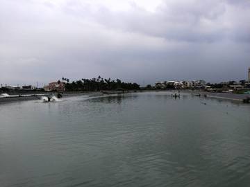 AF306 大湖經濟農地