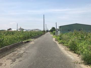 鹽水舊營段舊營小段農地(約1.6分)