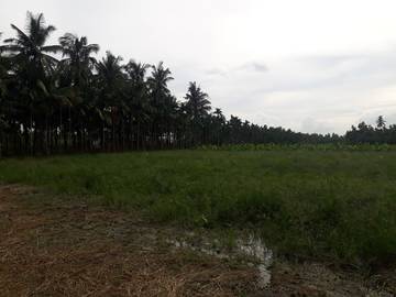 AF373 冠迪都計農地