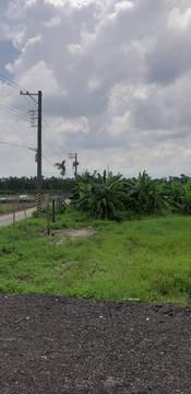 LS58137 空軍醫院農地