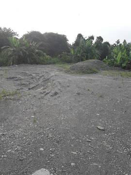 LS58236 圳寮濕地農地