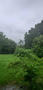 AF347 高樹鄉野農地