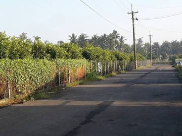 LS59280 長興都計農地