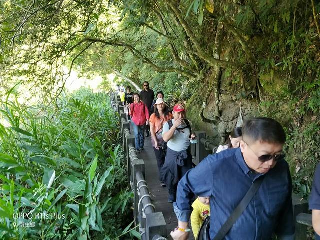 1315760_fbd25c8420f7325197ca6fed799fbb6e