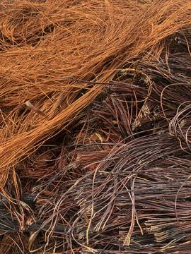 1336741_5ee37da0a3a9c726bfc5a8aeff2cae43