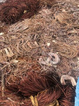 1336742_739bc527b4c74b078069d16190a6dc41