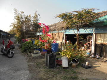 虎科大,78快速道交流道旁畜牧場